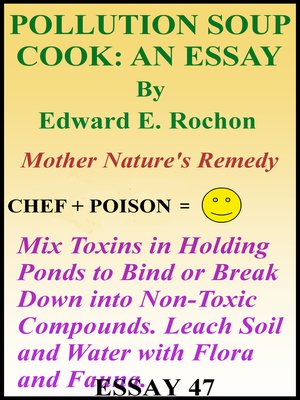 cover image of Pollution Soup Cook